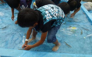 086 - コピー (2).JPG amago